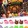 Christmas Traditions for Family Fun 2026 Dumplings Advent Calendar with 24 Mini Bun Squeeze Interactive Countdown Activity December Toys, Festive Box,