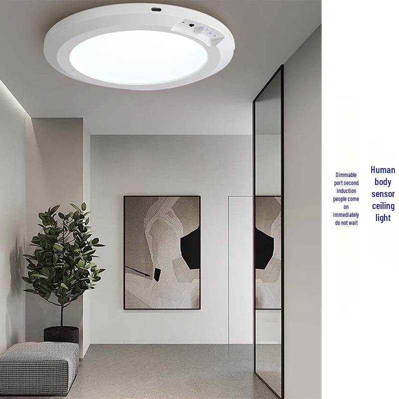 Wireless LED Ceiling Night Light for Hallway, Bedroom, and Corridor - Induction Charging, Home Decor Fixture