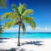 Wallpaper 3D Seaside Landscape Coconut Tree Beach Wall Mural Living Room Theme Hotel Fresco
