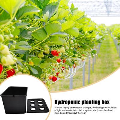 Hydroponic System Complete Set Household Gardening Indoor Hydroponics Planting Seedling Kit For Lettuce Flowers Balcony Parterre