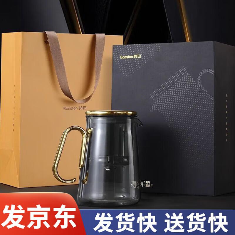 Magnetic Tea Infuser Glass Pot