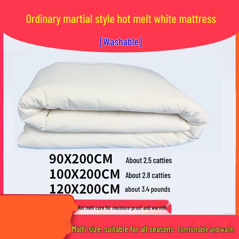 Lilang Hot-Melt Cotton Dorm Mattress Pad