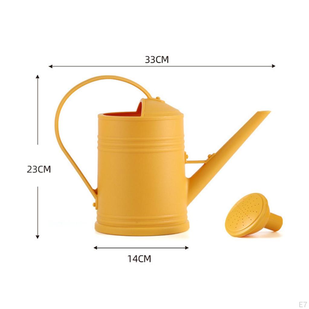 2000ml Watering Can Decorative Long Nozzle Multipurpose with Detachable Spray Head Large Capacity