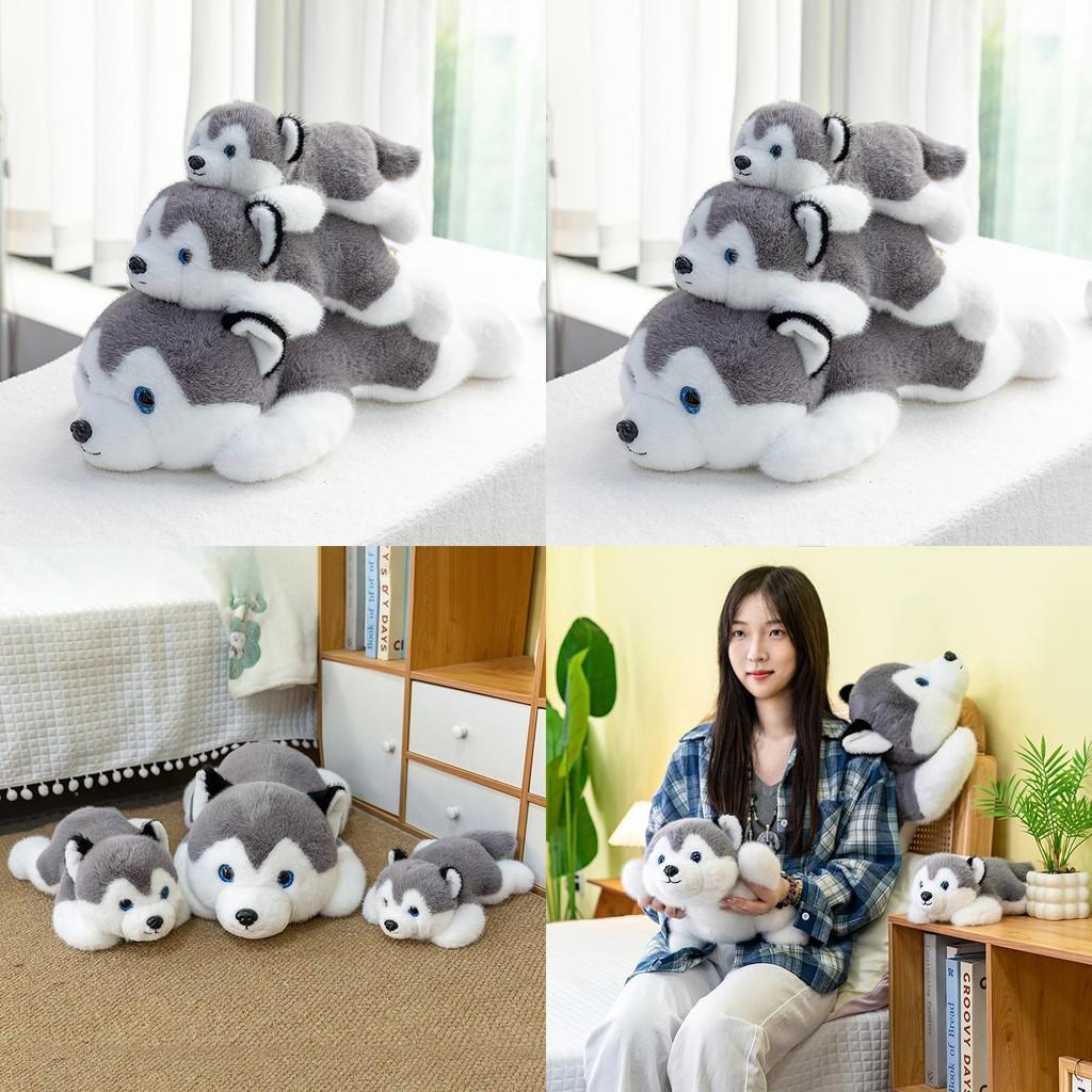 Husky Soft Compact Doll Reversible Design Children Plush Toys Gift Collectors