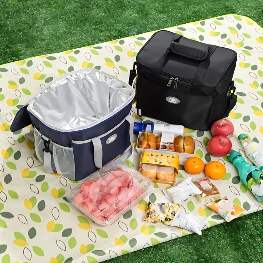 Insulated Lunch Bag,Reusable Freezer Cooler Bag,Office School Picnic Beach,Adjustable Shoulder Strap,Suitable For Kids/Adults