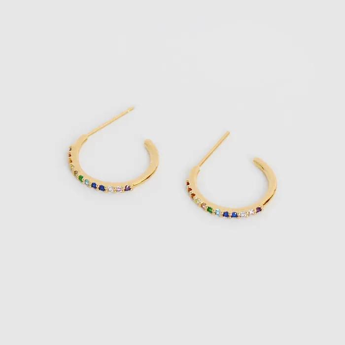 Rainbow Ring Earrings