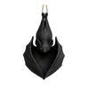Hanging Planter - Decorative Wall Mount Pot for Indoor Plants