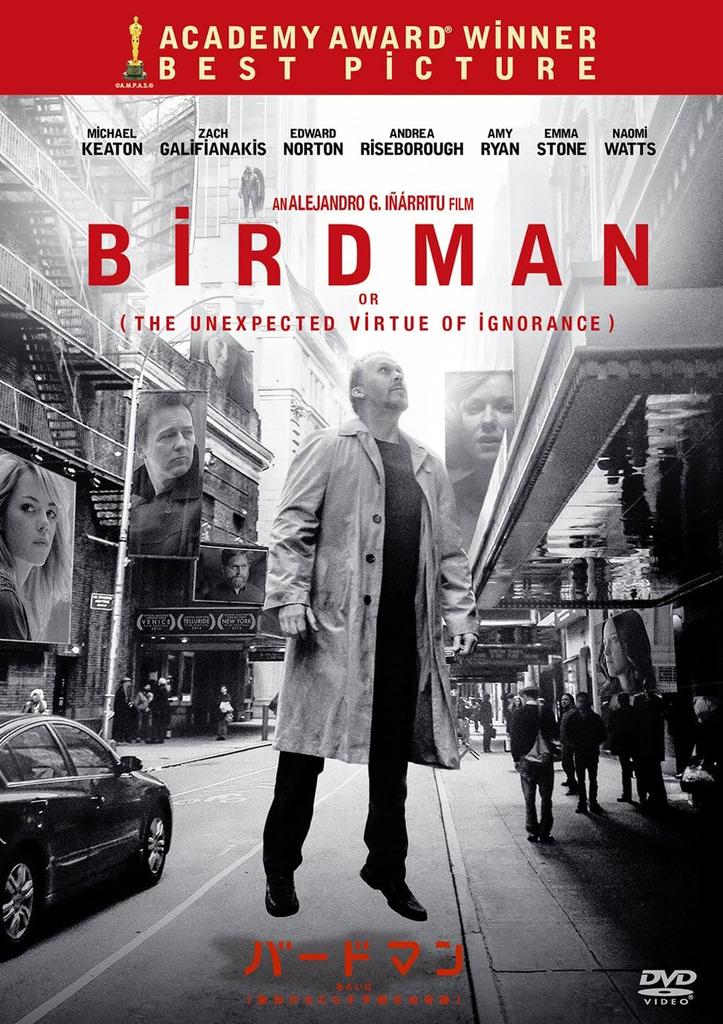 DVD  - Birdman or (The Unexpected Virtue o Japan Movies & DVD Used