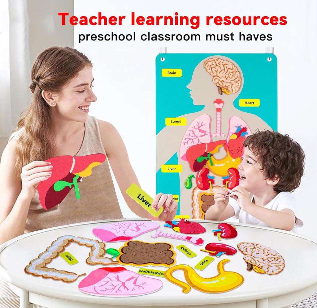 Placă Story Montessori Corpul Uman Placă Educațională de Învățare Jucărie Educațională cu Povești pentru Grădiniță Casă Grădiniță Școală