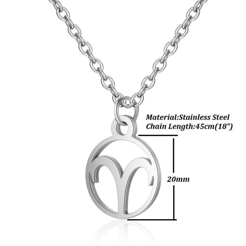 Stainless Steel Zodiac Pendant Necklace with Thin Chain