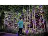Solar Color-Changing LED Starry String Lights - Waterproof Popcorn Fairy Lights for Camping and Outdoor Tent Decor