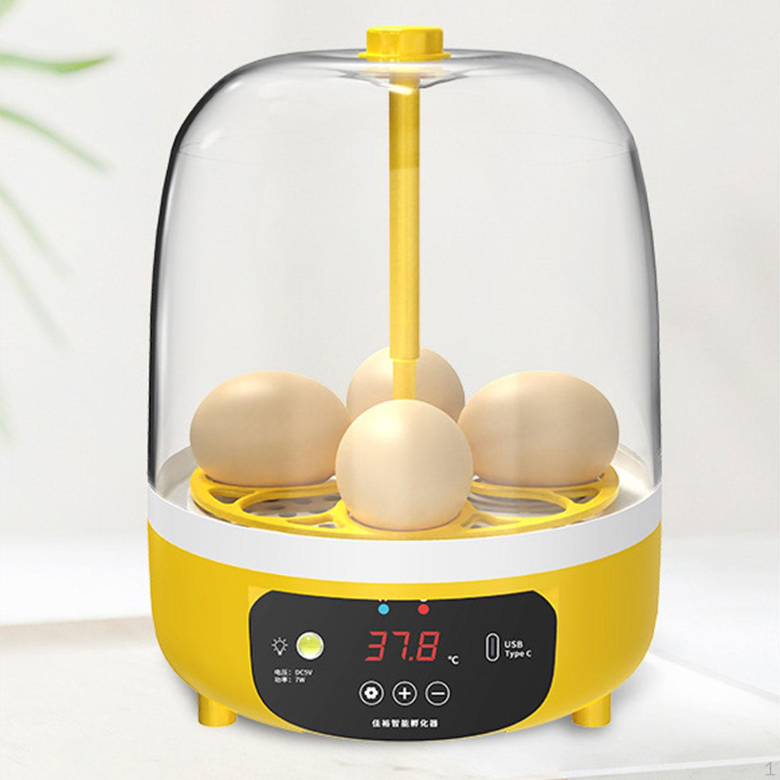 

Инкубатор для яиц, куриный штекер, США, портативный, научный и образовательный, небольшой инкубатор для птицы Automatic