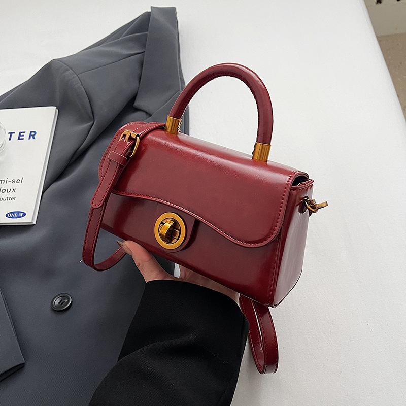 Autumn and Winter Portable Commuter Bag Women's 2025 New Trendy Retro Small Square Bag Versatile Multi-functional Shoulder Messenger Bag Tide