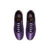 Nike Air Max Plus OG Voltage Purple 2024 Men Sneakers Total-Orange Purple-Agate DX0755-500