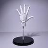 Movable Left/right Hand Model Ornament, 1/1 Hand Model, Desktop Decoration, Craft Designer