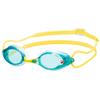 Swans Swimming Goggles SRX-N PAF