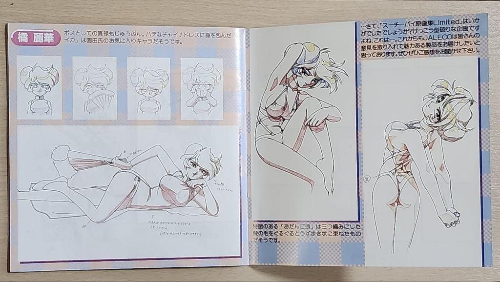 [USED] Idol Janshi Su-chi-Pai Limited Edition with original art book, box, and instructions