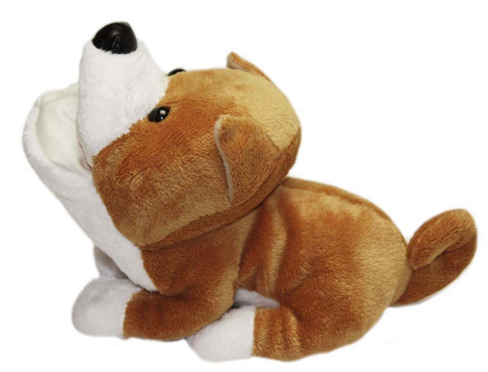 Animal Glasses Stand Shiba Inu E-5