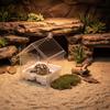 Mehrzweck-Terrariumhaus Multifunktionale Eidechsen-Badewanne Schildkröten-Futterbox Leichte Kaltblüter-Haustier-Wasserschale Hängend