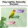 Wear-resistant Parrot Perch Stand Shell Shape Bird Cage Perches Parrot Resting Platform  Beak Care