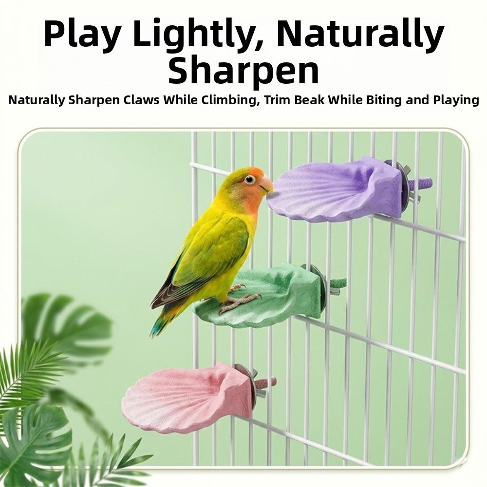 Wear-resistant Parrot Perch Stand Shell Shape Bird Cage Perches Parrot Resting Platform Beak Care