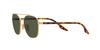 sunglasses RB3688 55 Gray Green lenses Ray-Ban Arista/Crystal (G-15XLT)