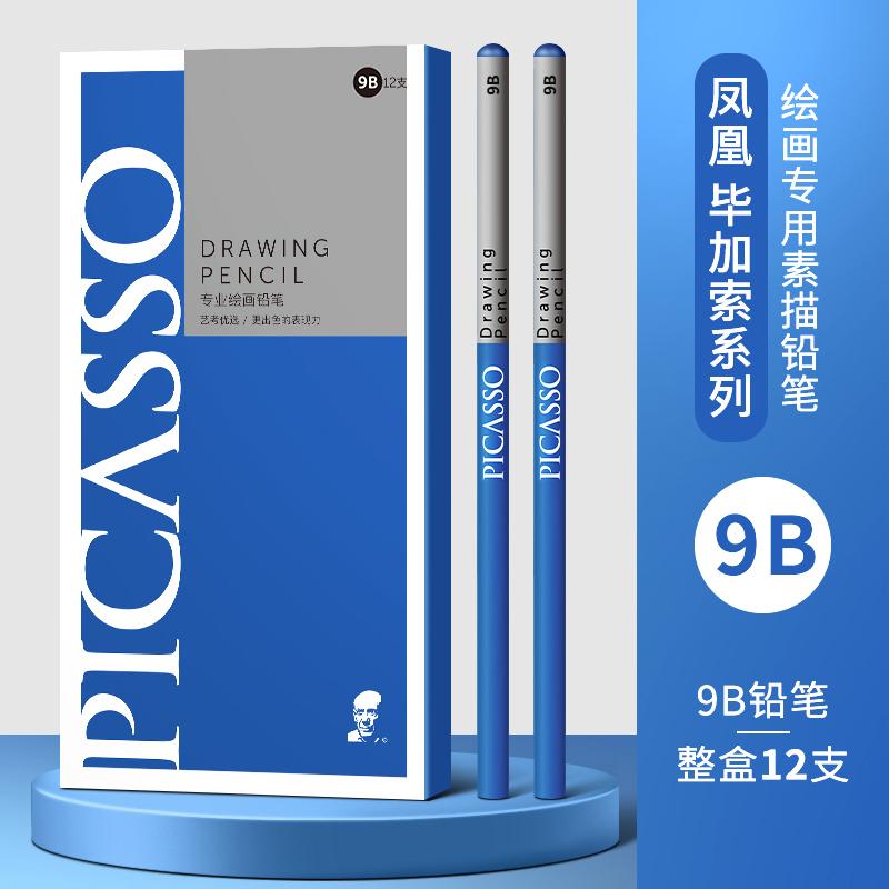 PHOENIX PICASSO Professional Sketching Pencils for Art Students Sketching Graphite Leads in 2B/8B/14B Grades Pull-out Design