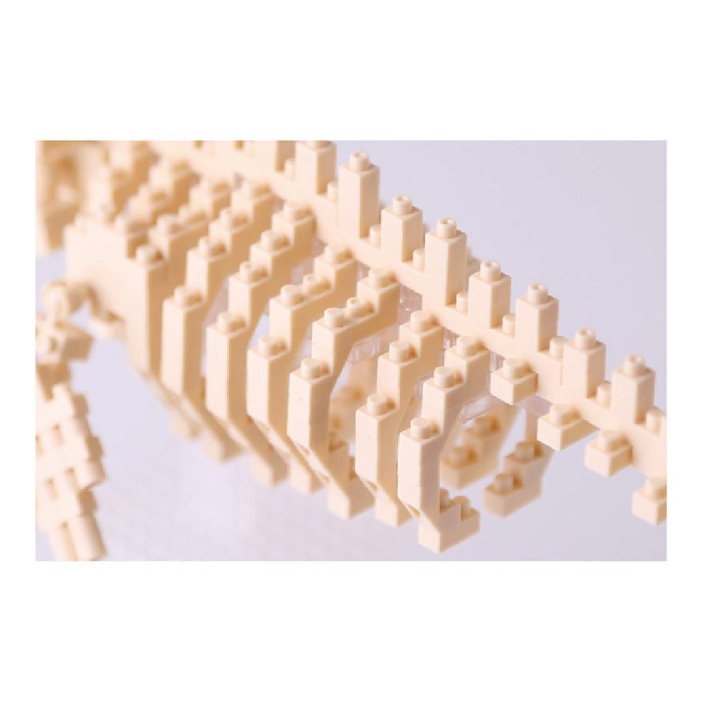 Nanoblock Blue Whale Skeleton Model NBM-010
