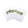 1/5/10Pcs Lucky Clover Postcards Natural Grass Transparent Wishing Cards For Bookmarks