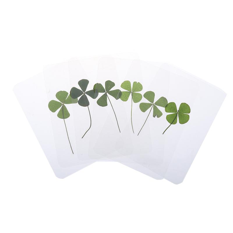1/5/10Pcs Lucky Clover Postcards Natural Grass Transparent Wishing Cards For Bookmarks