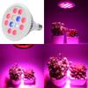 E27 36W LED Full Spectrum Grow Light for Indoor Plants and Succulents