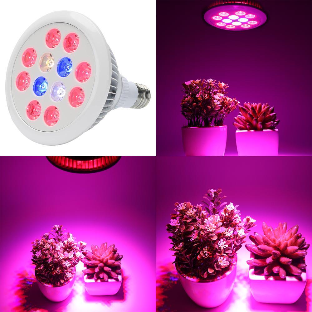 E27 36W LED Full Spectrum Grow Light for Indoor Plants and Succulents