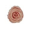 P-1  21 Preserved Roses in a Box Wedding Decor Floral Arrangements Wedding Dried Flower Home Decor Baby Shower Flowers 2~3cm