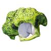 Cartoon Photo Headgear Hat for Adult Broccoli Hat for Boys Girl Lovely Photo Hat Festival Celebration Party Headpiece