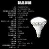 Reflector bulbs, LED mercury lamps, outdoor LED lighting, spotlights for signs, lighting fixtures, sign lights, downlights, LED floodlights, factory l