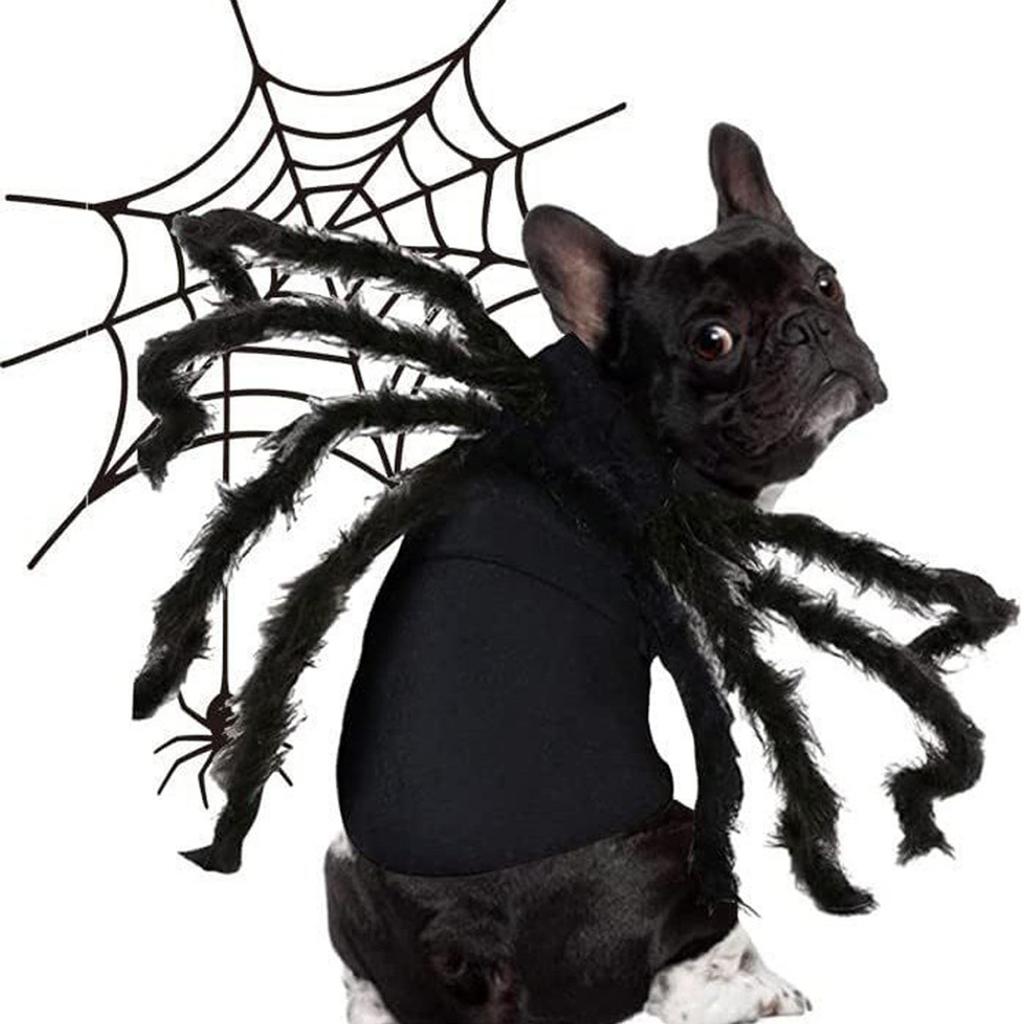 Costume da Ragno per Cani Travestimento Halloween Animale Domestico Animale Morbido Costume Cappotto Ragni Tema Accessori Cosplay