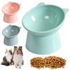 Raised Tilted Pet Food Bowl Plastic Cat Dog Feeding Bowl With Wide Rim And Stable Base For Daily Dry Food And Water Use For Home Pet Feeding Areas