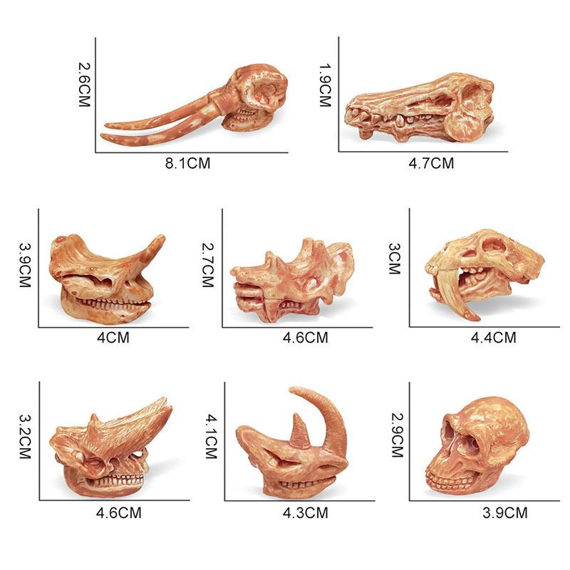 Highquality Dinosaur Realistic Skull Model For Childrens Development Cognitive