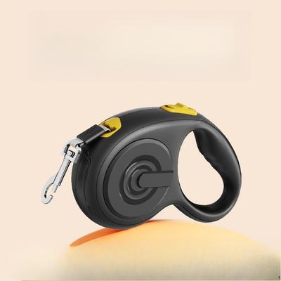 Cani – Collari e guinzagli per cani