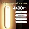 Rechargeable Motion Sensor LED Night Light