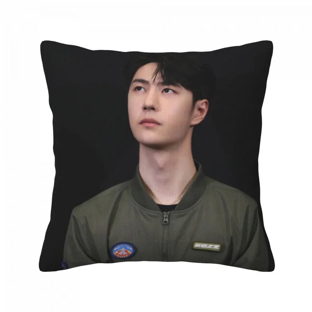 Wang Yibo Yebo Poster Double-sided Printed Pillowcase China Movie Born To Fly Lei Yu Drama Stills Home Car Decor Cushion Cover