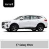 Haval F5/F7 Touch-Up Paint Pen – Colors: White Shark, Red Eagle, Blue Antelope, Black Horse, Brown Wolf.