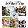 mini camera digital compact can send smartphone fixed focus approximately 1 million pixels 720P HD video 0.96-inch LCD screen USB Type-C Android card
