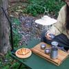 Portable Camping Tabletop Light Stand Aluminum Alloy Curved Light Stand Picnic Light Pole Lighting Rack Bracket Camp Accessory