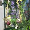 Hanging Swing Frog Resin Ornament With Wine Cup Tree Hanging Statue Yard Patio Balcony Garden Micro Landscape Decor