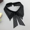 Vintage Embroidery Fake Collar For Women White Lace Hollow False Detachable Collar Lapel Shirt Tie Necklace Clothes Accessory