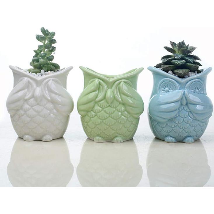 Happyyami Owl Design Ceramic Succulent Planter Pot for Home Office Decor Versatile Container for Cactus and Flowers Cute Animal Pot with Fine