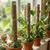 6PCS Interlocking Vine Climbing Column Plastic Plants Growth Stand Vine Fixed Support Frame  Garden
