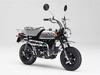 Fujimi Model Bike Series SPOT Honda Monkey 50th Anniversary Special Plastic Model BIKESPOT 1/12