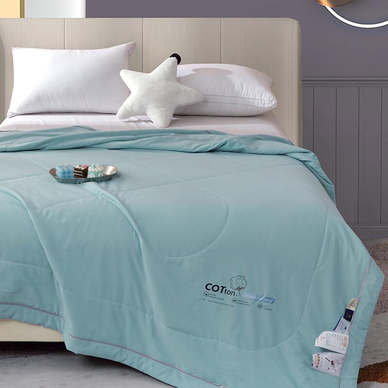 Paul Peter Eco Bamboo Cotton Summer Quilt